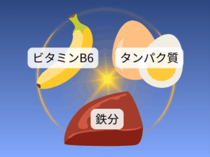 鉄分やビタミンB6を含む食材（レバー・卵・バナナなど）